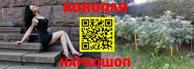 индика Заволжье
