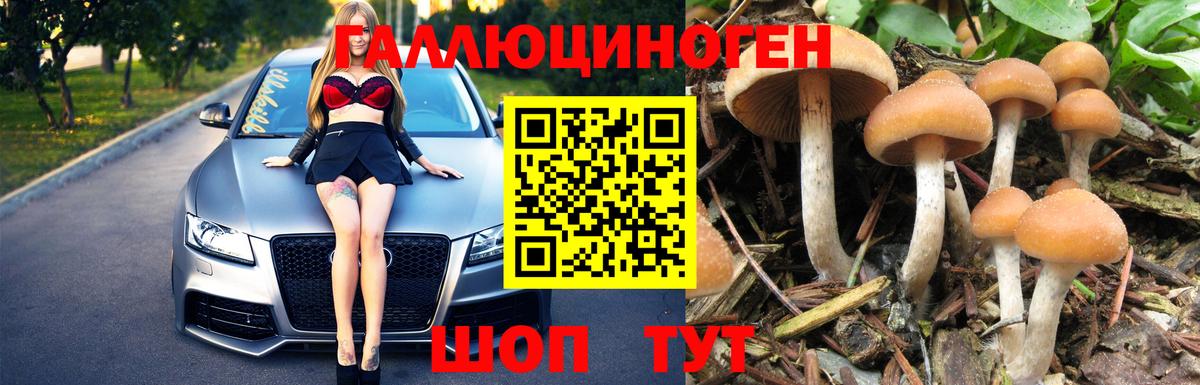 Псилоцибиновые грибы мицелий  Псилоцибиновые грибы Magic Shrooms  Вход с VPN  Мариинск 