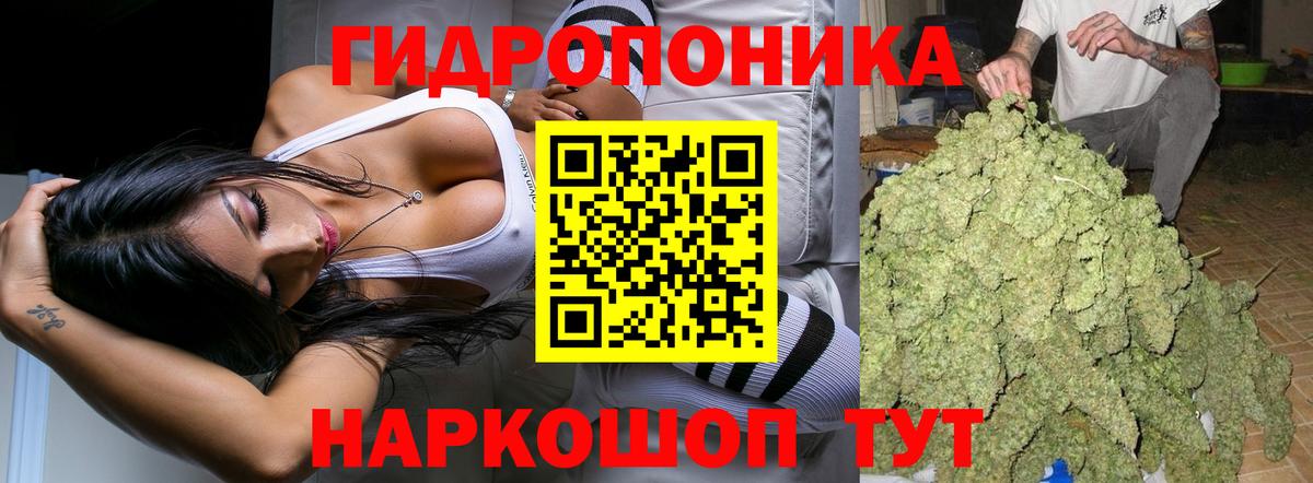 Бошки марихуана VHQ Мариинск
